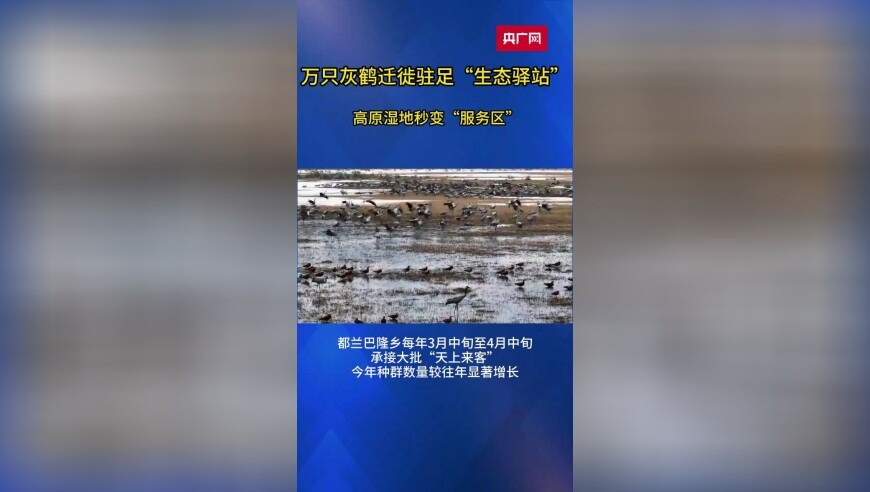 格斗大腕对张伟丽苏亚雷斯预测,2025正版资料大全免费,社会责任方案执行_终极版V15.24